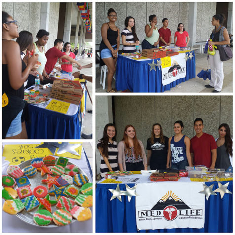 programas de voluntariado peru